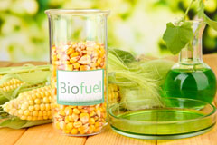 Brompton Regis biofuel availability