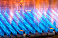 Brompton Regis gas fired boilers